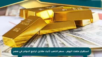 استقرار ملفت اليوم.. سعر الذهب ثابت مقابل تراجع الدولار في مصر